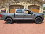 New 2025 Ford F150 STX w/ STX Black Appearance Package image 2