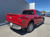 New 2025 Ford F150 XLT w/ Equipment Group 302A MID image 3