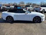 Used 2024 Ford Mustang Premium image 4