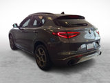 Used 2022 Alfa Romeo Stelvio Ti image 3