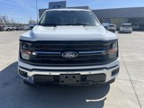 New 2025 Ford F150 XLT w/ Equipment Group 303A High image 3