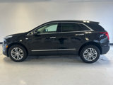 Used 2022 Cadillac XT5 Premium Luxury image 6