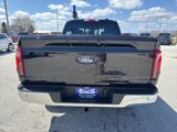 New 2025 Ford F150 XLT w/ Equipment Group 302A MID image 4