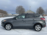 Used 2016 Ford Escape SE w/ SE Leather Comfort Package image 4