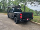 New 2025 Ford F250 XLT w/ Black Appearance Package image 5
