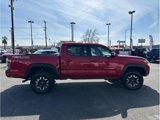 Used 2022 Toyota Tacoma TRD Off-Road image 4