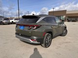 New 2025 Hyundai Tucson Limited image 5