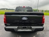 New 2025 Ford F150 STX w/ Equipment Group 200A image 4