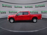 Used 2021 Ford F150 XLT image 5