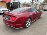 Used 2019 Ford Mustang Premium w/ Ford Safe & Smart Package image 6