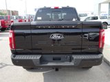 New 2025 Ford F150 Platinum image 5