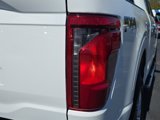 New 2025 Ford F150 XLT w/ Equipment Group 302A MID image 6