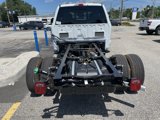 New 2025 Ford F350 XL image 5