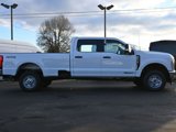 New 2025 Ford F250 XL w/ XL Chrome Package image 5