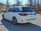 New 2025 Honda Odyssey Elite image 4