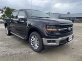 New 2025 Ford F150 XLT w/ Equipment Group 302A MID image 2