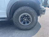 Used 2023 Ford F150 Raptor w/ Blue Interior Package image 5