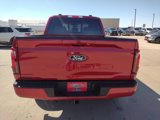 New 2025 Ford F150 XLT image 6