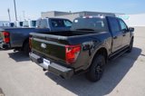 New 2025 Ford F150 STX image 4
