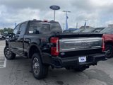 New 2025 Ford F350 King Ranch image 4