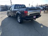 Used 2019 Ford F150 Platinum w/ Equipment Group 701A Luxury image 5