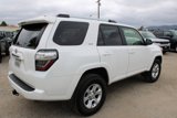 Used 2024 Toyota 4Runner SR5 image 4