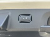 New 2025 Hyundai Palisade SEL image 6