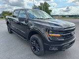 New 2025 Ford F150 XLT image 5