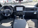 New 2025 Ford F150 XLT w/ Equipment Group 302A MID image 6