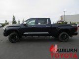 New 2025 Toyota Tundra 1794 Edition image 6