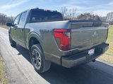 New 2025 Ford F150 STX w/ Equipment Group 200A image 4