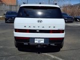 New 2025 Hyundai Santa Fe Calligraphy image 6