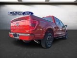 Used 2023 Ford F150 XLT w/ Equipment Group 302A High image 5