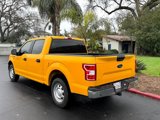 Used 2020 Ford F150 XL w/ Equipment Group 101A Mid image 3