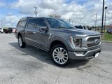 Certified 2023 Ford F150 Limited image 2