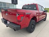 New 2025 Ford F150 STX image 3