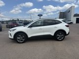 Used 2025 Ford Escape ST-Line w/ Cold Weather Package image 3