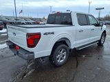 New 2025 Ford F150 XLT w/ Equipment Group 302A MID image 3