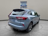 Used 2024 Ford Escape ST-Line image 5