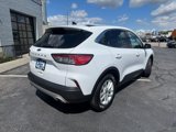 Used 2020 Ford Escape SE image 4