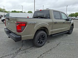 New 2025 Ford F150 STX image 4