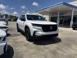 New 2025 Honda Pilot Black Edition image 3
