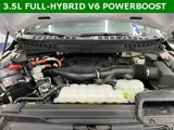 Used 2023 Ford F150 XLT w/ Equipment Group 302A High image 2