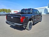 New 2025 Ford F150 XLT w/ Equipment Group 302A MID image 3