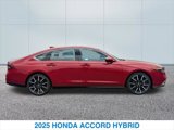 New 2025 Honda Accord Touring image 6
