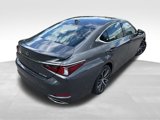 Used 2025 Lexus ES 350 w/ Premium Package image 6