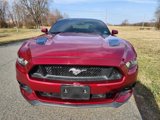 Used 2015 Ford Mustang GT image 3