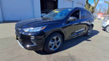 Certified 2024 Ford Escape ST-Line w/ Tech Pack #1 image 4