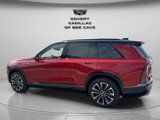 New 2026 Cadillac Vistiq Sport image 6