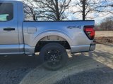 New 2025 Ford F150 STX image 6